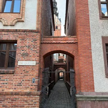 Starovka Elblag